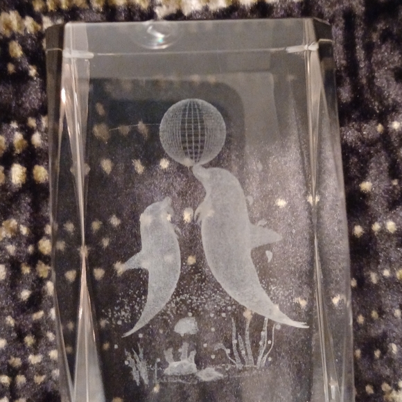 4/$40 Dolphins Playing Ball - 3D Image In a Clear Block/Paperweight - Picture 2 of 7